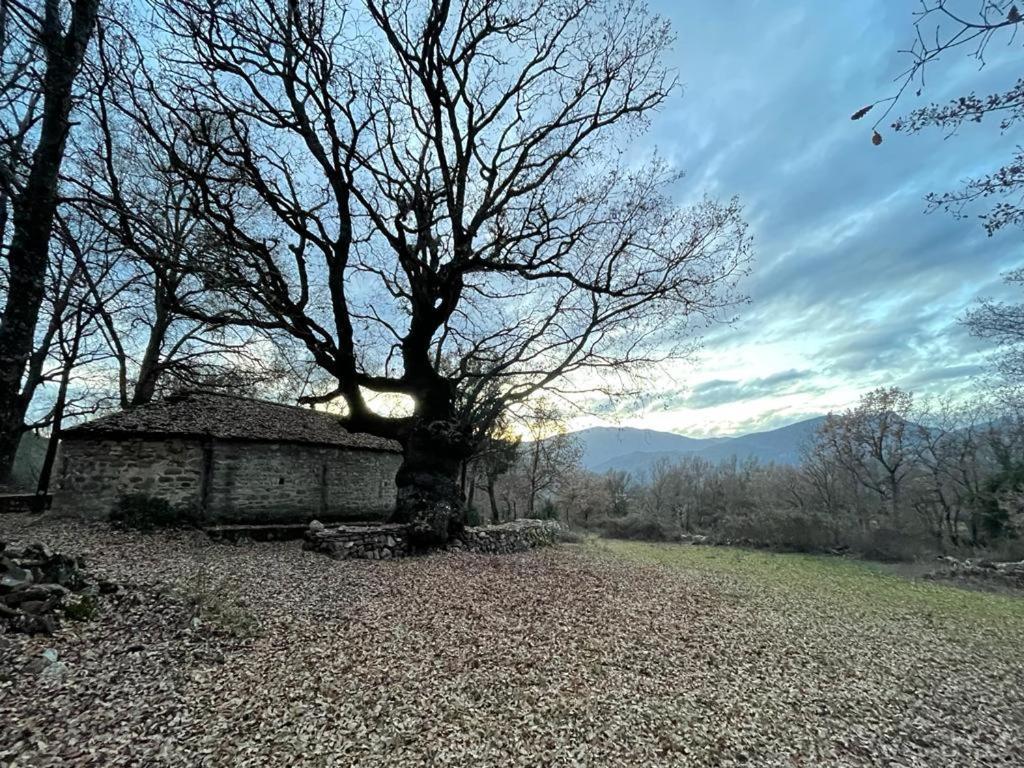 Casa Rural " El Retiro" Laspuna ภายนอก รูปภาพ